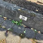 Fewo-woelkchen Mit Ausblick & Komfort Ueber Den Daechern Von Weißenfels