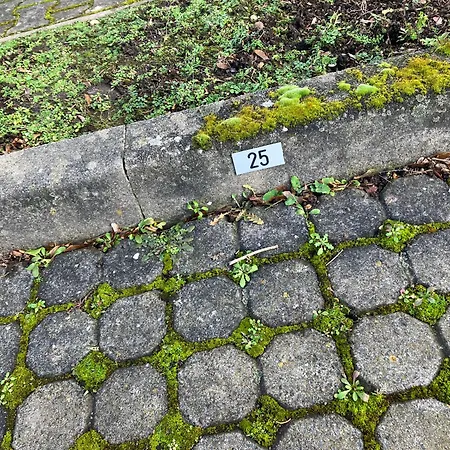 Woelkchen Apartment *