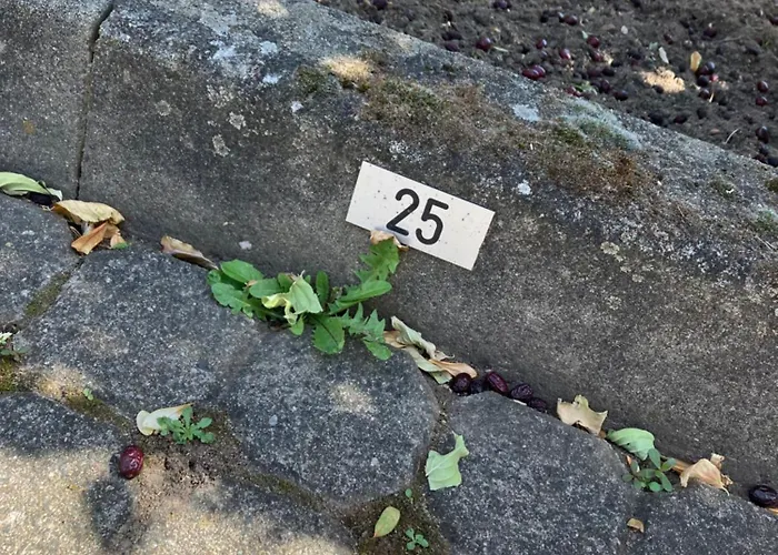 Fewo-woelkchen Mit Ausblick & Komfort Ueber Den Daechern Von Weißenfels