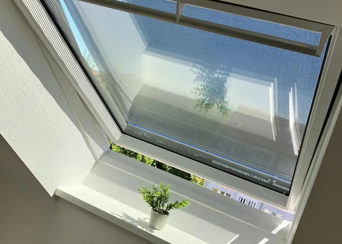 Fewo-woelkchen Mit Ausblick & Komfort Ueber Den Daechern Von *